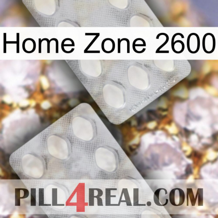 Home Zone 2600 17